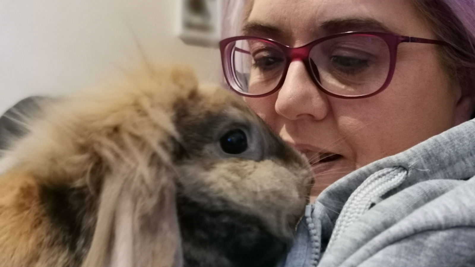 Bunny binky video